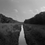 Dawoud-Bey-Irrigation-Ditch-From-the-series-In-This-Here-Place-2020