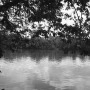 Dawoud-Bey-Untitled-James-River-From-the-series-Stony-the-Road-2023