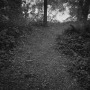 Dawoud-Bey-Untitled-The-Trail-and-the-River-From-the-series-Stony-the-Road-2023