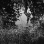 Dawoud-Bey.-Untitled-James-River-Through-the-Opening-From-the-series-Stony-the-Road-2023
