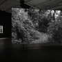 Installation-view-Dawoud-Bey-Stony-the-Road-at-Sean-Kelly-New-York.-January-10-February-22-2025