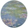 Claude Monet. Water Lilies, 1908